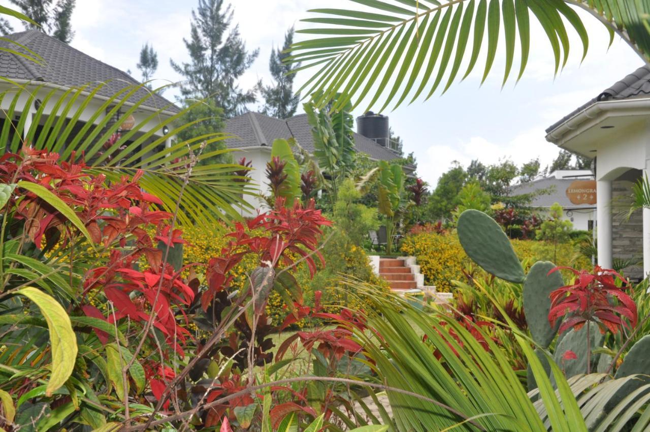 Home Bliss Hotel- Fort Portal Uganda Екстериор снимка